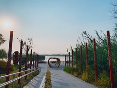 -九里湖国家湿地公园