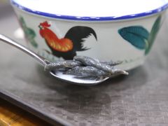 -文昌邓记清补凉(西沙路店)