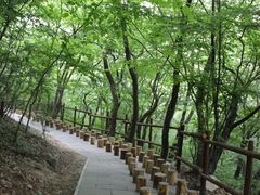 -皇藏峪国家森林公园