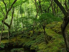-常寂光寺