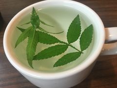 -太鲁阁公园