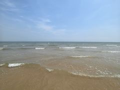 -日照海滨国家森林公园