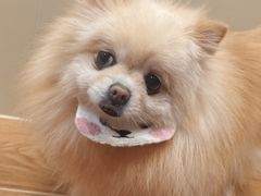 -和它·交个朋友·狗咖猫咖(爱琴海店)