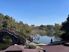 -桂湖森林公园