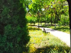 -永定河休闲森林公园