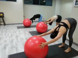 -榕树上·瑜伽普拉提