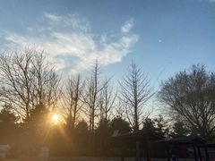 -尚庄度假村·庭台树下·户外烧烤·团建CS·轰趴营地(上庄水库店)