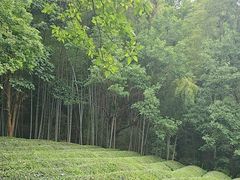 -敬亭山风景名胜区