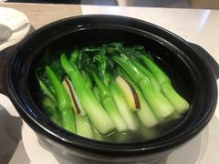 椰青菜心-闻见中国海南菜(K11店)
