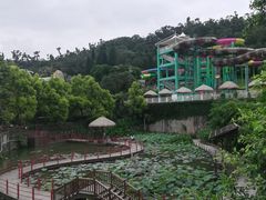 -珠海圆明新园