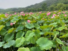 -南北湖风景区