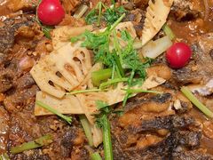 -老板恋上鱼(印象城店)