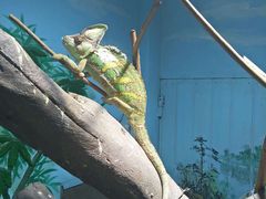 -石家庄市动物园