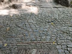 -秋霞圃