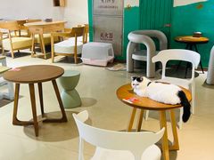 -藏猫猫咖啡主题馆(中央大道店)