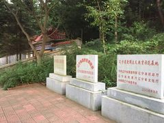 -大鹿岛