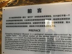-金钉子远古世界景区