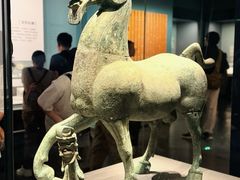 -广西壮族自治区博物馆