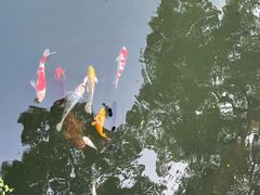 -杭州西湖柳莺里酒店