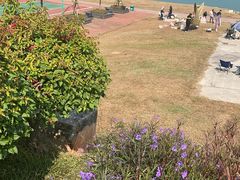 -那考河湿地公园