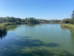 -大兴滨河森林公园