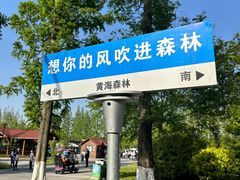 -黄海国家森林公园