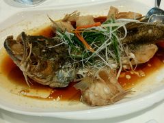 -至潮餐厅精致粤菜·活鲈鱼·走地鸡(珠江新城店)