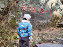 -王顺山国家森林公园