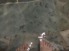 -兴芮温泉度假区