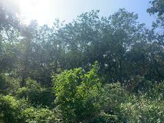 -南京金牛湖风景区