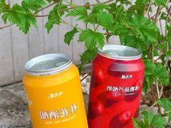 -大鸭梨烤鸭(望京店)