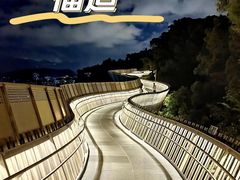 -福道