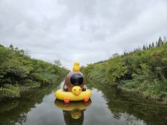 -黄海国家森林公园