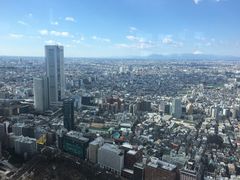 -东京都厅舍