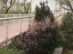 -灞河西岸滨河公园