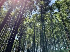 -驼梁风景区