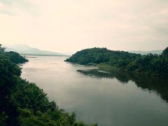 -福建鲤鱼洲酒店