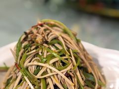 -通湖草原