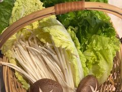 -同仁四季椰子鸡(福田东园总店)