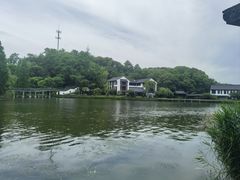 -鲁镇
