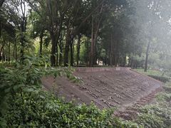 -木塔寺遗址生态公园