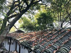 -西园戒幢律寺