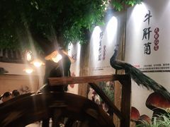 -大理董·董家小厨野生菌火锅(古城旗舰店)