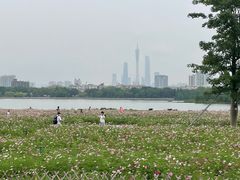 -海珠湖公园