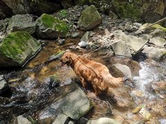 -藏龙百瀑风景区