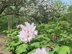 -江南大学(蠡湖校区)