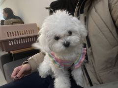 -美联众合动物医院·24h京西诊疗中心
