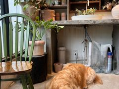 -自由生长植物工作室(深港花卉中心店)