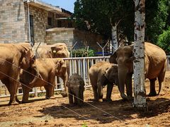 -石家庄市动物园