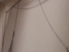 -剧狐剧本杀(徐汇1号店)
